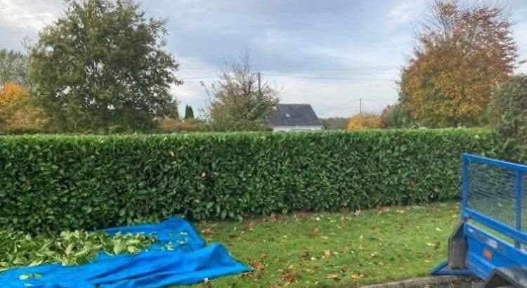 Hedge Cutting & Maintenance