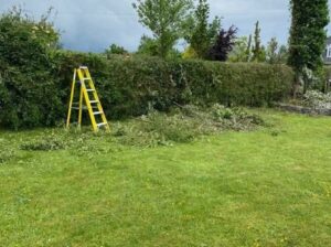 Hedge Cutting & Maintenance