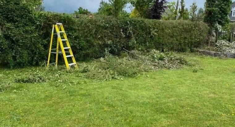 Hedge Cutting & Maintenance