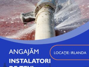 Ward Personnel angajează Instalatori de Țevi