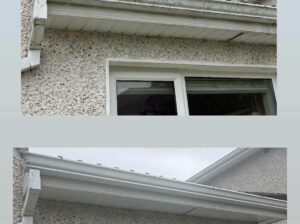 Professional gutter cleaning