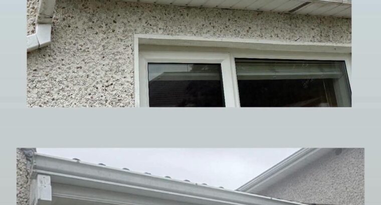 Professional gutter cleaning