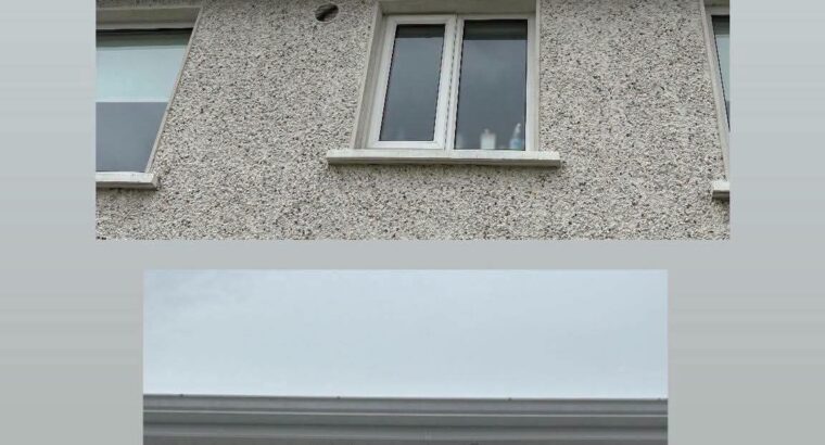Professional gutter cleaning