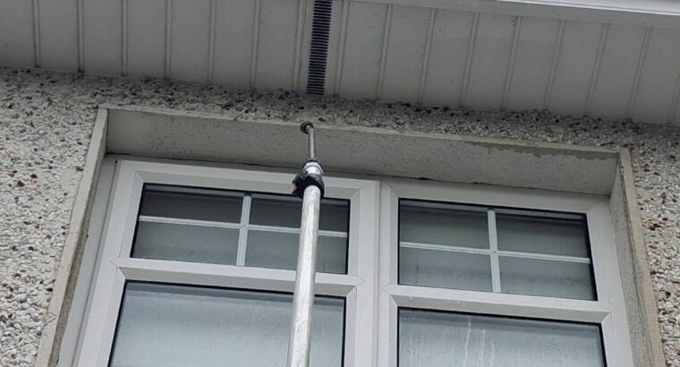 Professional gutter cleaning