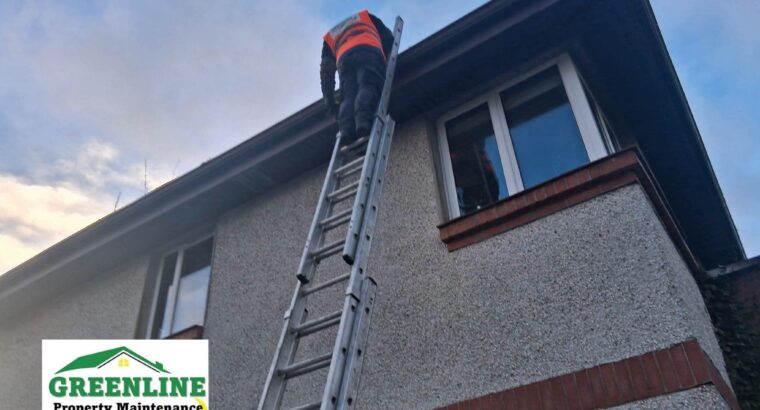 Professional gutter cleaning