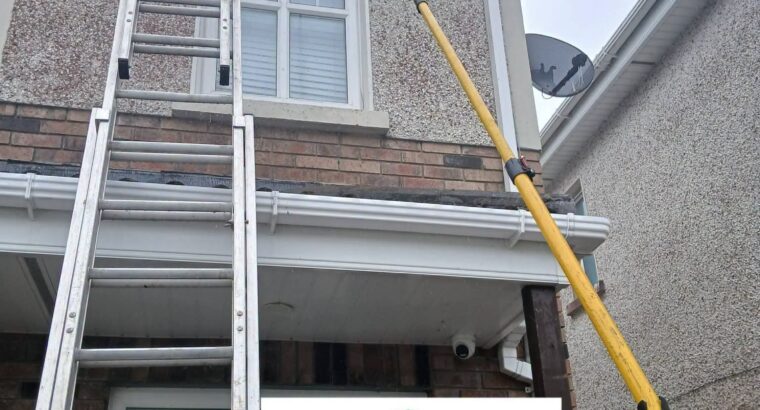 Professional gutter cleaning