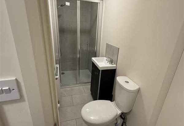 Room with a Private En-Suite Bathroom