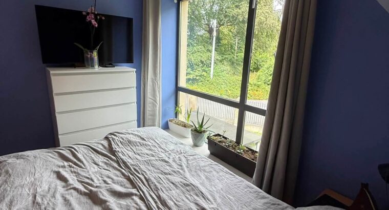 Room Available to Rent