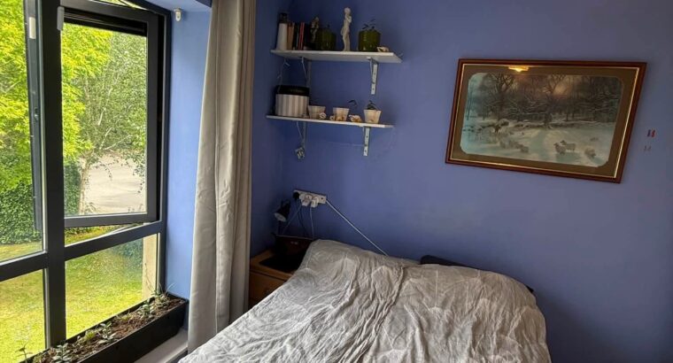 Room Available to Rent