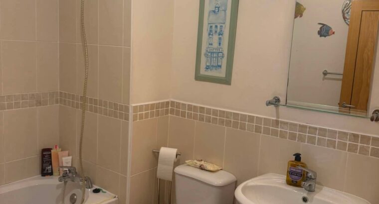 Room Available to Rent