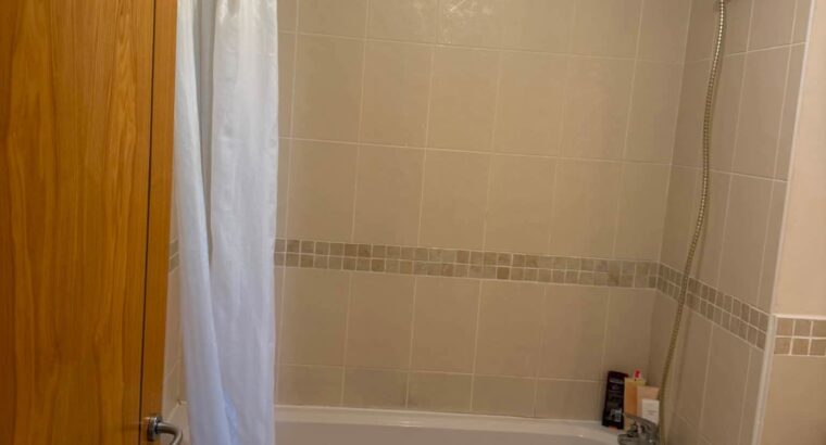Room Available to Rent