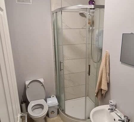 Flat Available for Rent in D1 – Mountjoy