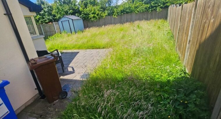 Full garden clean-ups