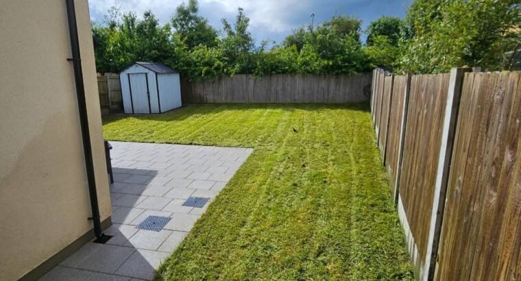 Full garden clean-ups