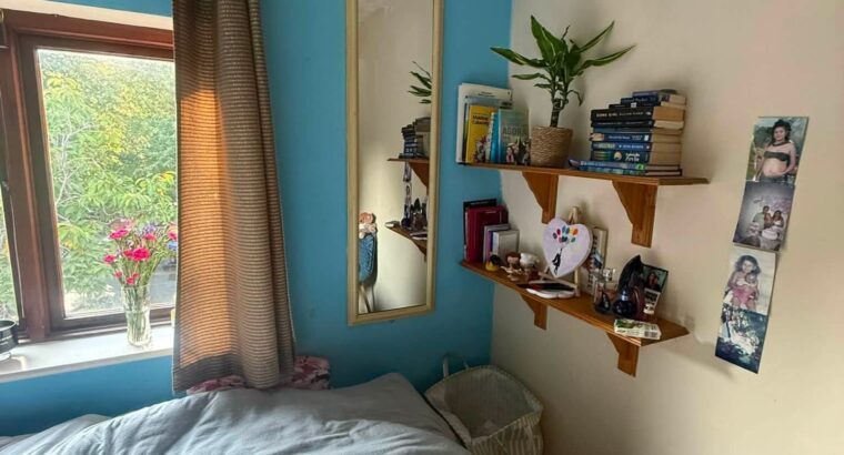 Single Room – Drumcondra | €575