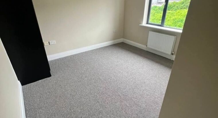 Two-Room Apartment for Rent in Galway