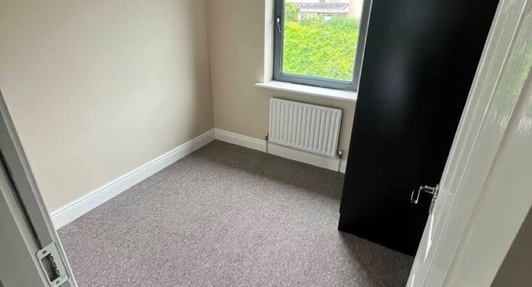 Two-Room Apartment for Rent in Galway