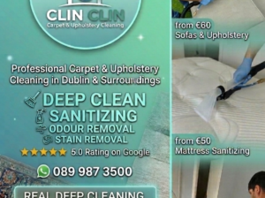 Professional Carpet & Upholstery Cleaning