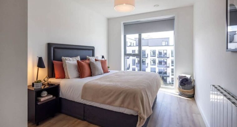Large Double Bedroom for Rent in Stillorgan Village, Co. Dublin