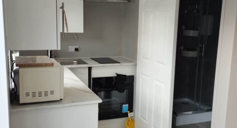 Newly Built Studio for Rent in Ashbourne, Co. Meath