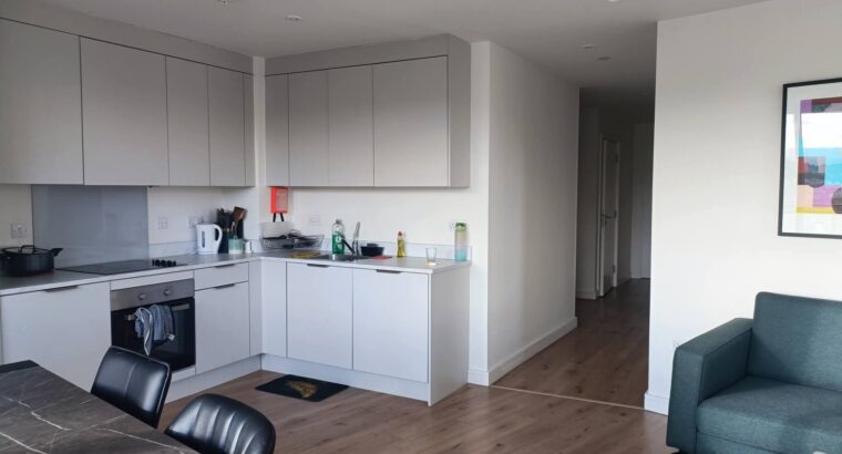 Room for Rent with Lease Transfer – Cherrywood, Dublin 18