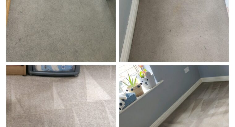 Professional Carpet & Upholstery Cleaning