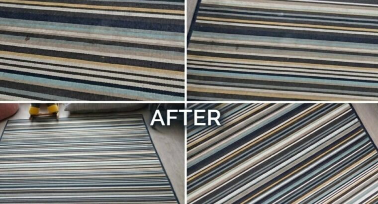 Professional Carpet & Upholstery Cleaning