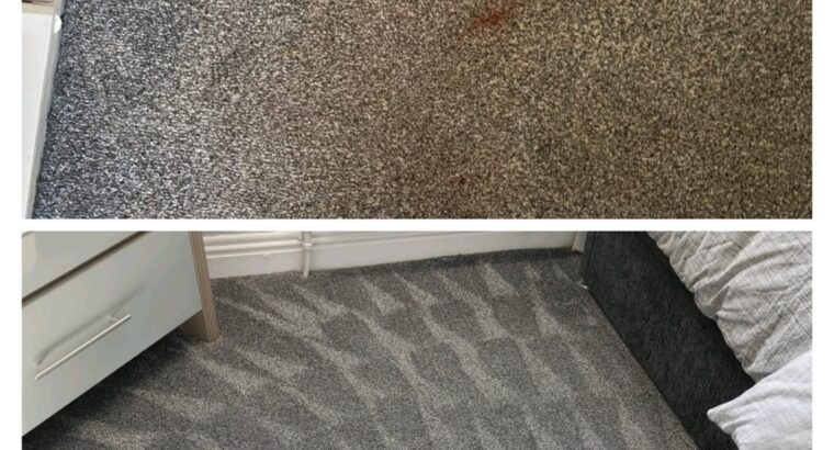 Professional Carpet & Upholstery Cleaning