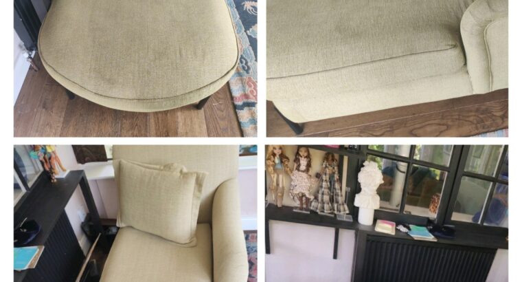 Professional Carpet & Upholstery Cleaning