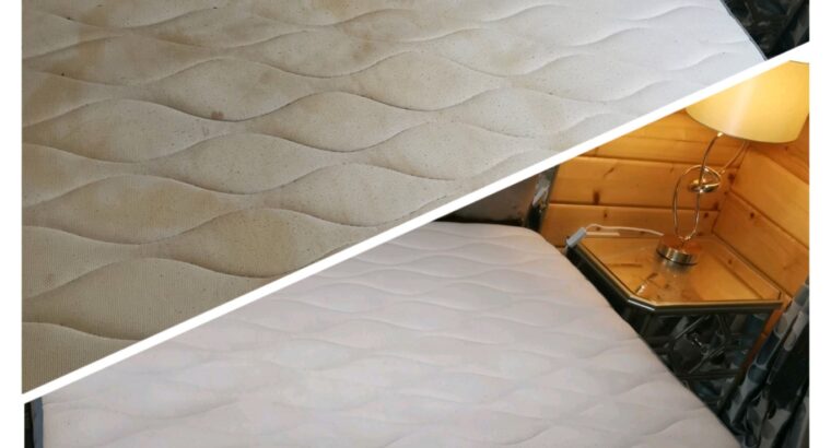 Professional Carpet & Upholstery Cleaning