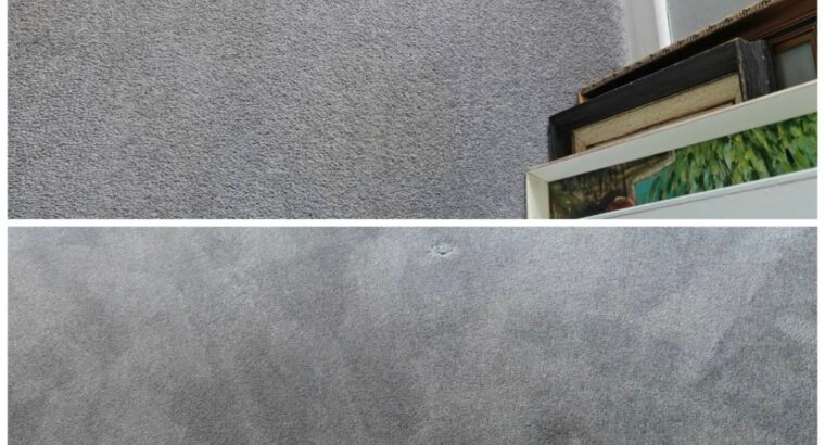 Professional Carpet & Upholstery Cleaning