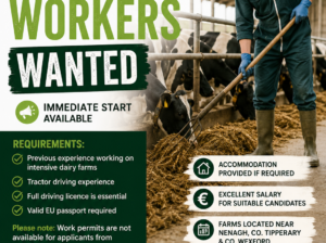 Experienced Dairy Farm Workers Wanted – Tipperary & Wexford