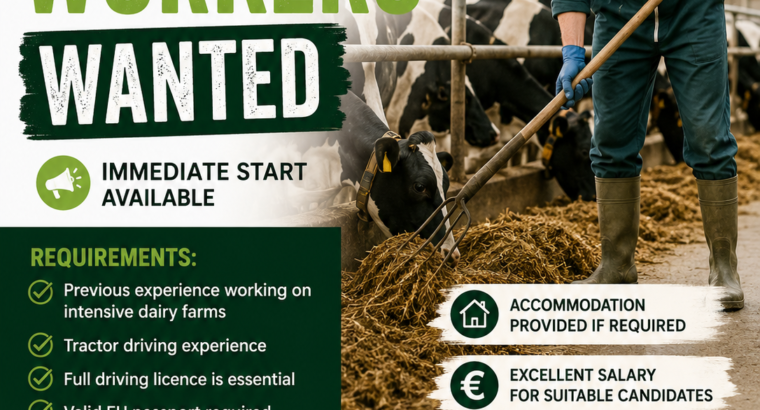Experienced Dairy Farm Workers Wanted – Tipperary & Wexford